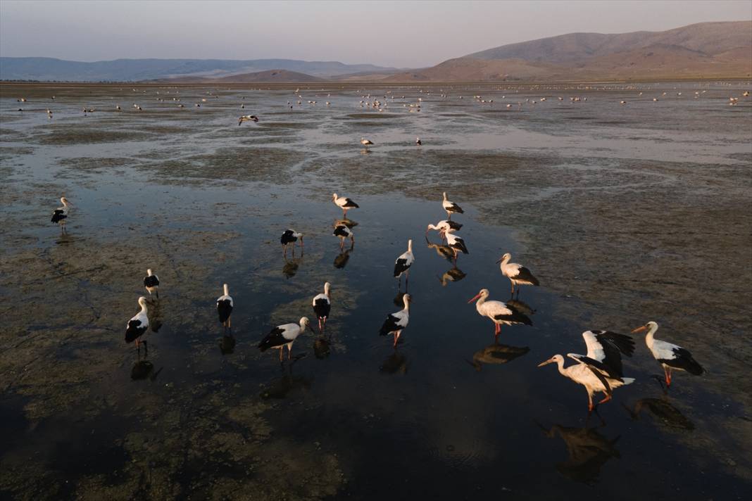 Gurbetçiler göç yolunda! Molayı Konya'da verdiler 1